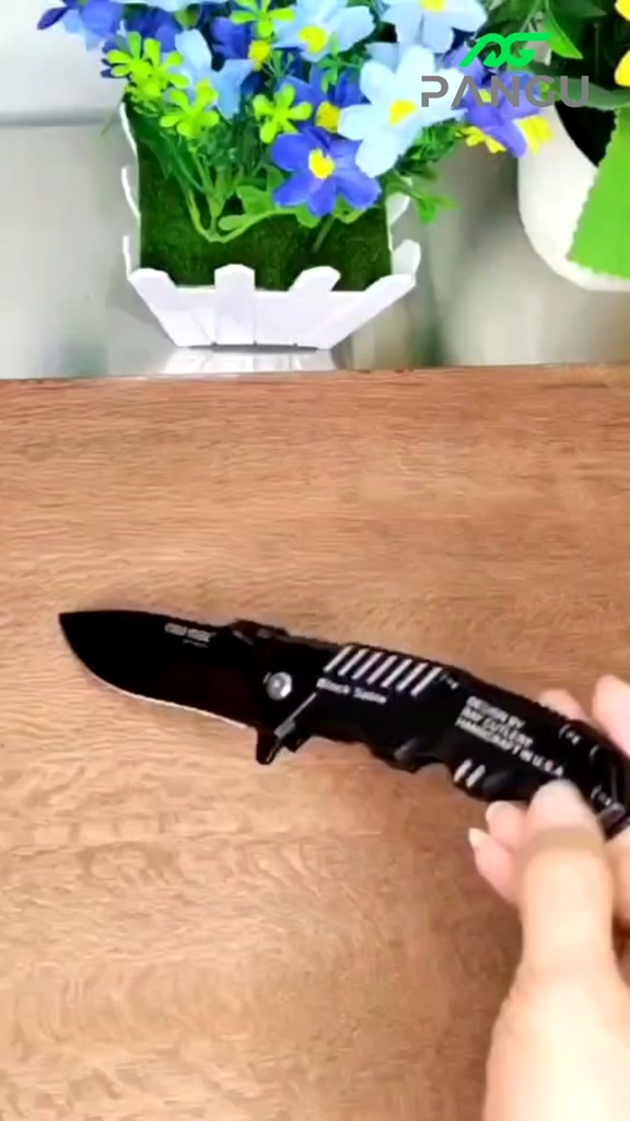 Canivete Aço Preto Faca de cozinha para frutas Para Cozinha Pesca Camping Sobrevivência